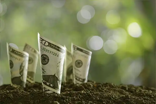 Fixed and Indexed Annuities